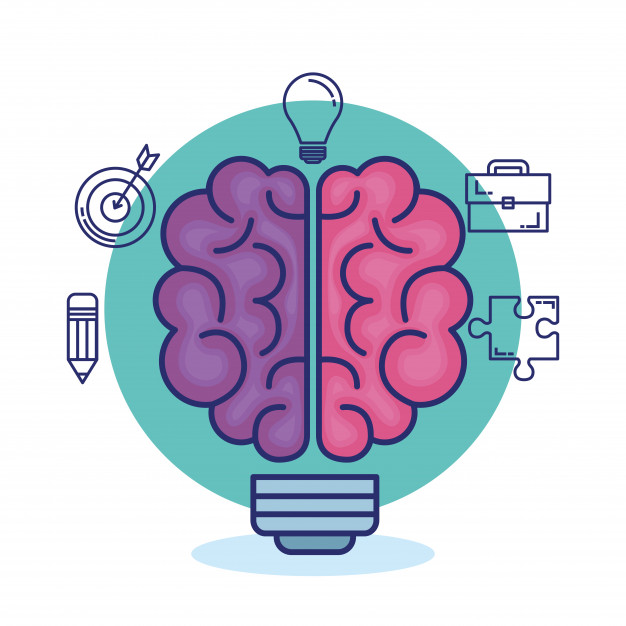 TALLER  APRENDE A PERCIBIR  CON EL HEMISFERIO  CEREBRAL DERECHO  A TRAVS DEL DIBUJO