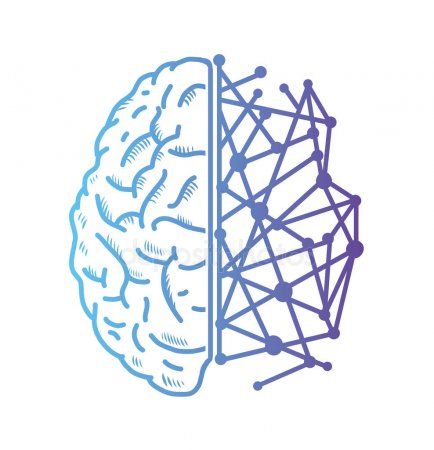 TALLER  APRENDE A PERCIBIR  CON EL HEMISFERIO  CEREBRAL DERECHO  A TRAVS DEL DIBUJO